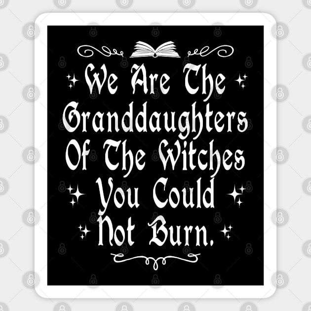 We Are The Granddaughters Of The Witches You Could Not Burn Magnet by Tshirt Samurai